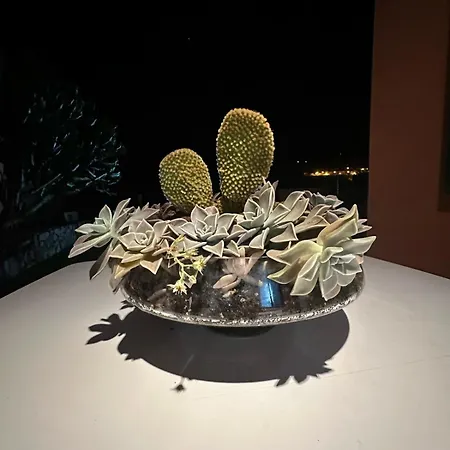 Villa Garden