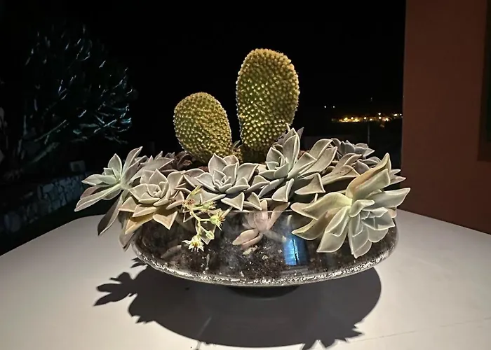 Βίλα Garden